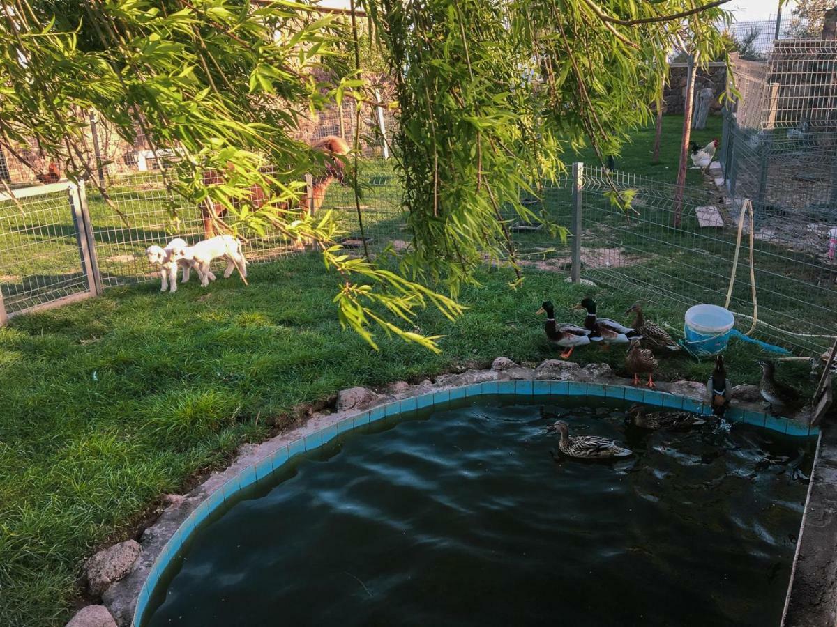 Assos Alis Farm Boutique Hotel & Spa Екстер'єр фото