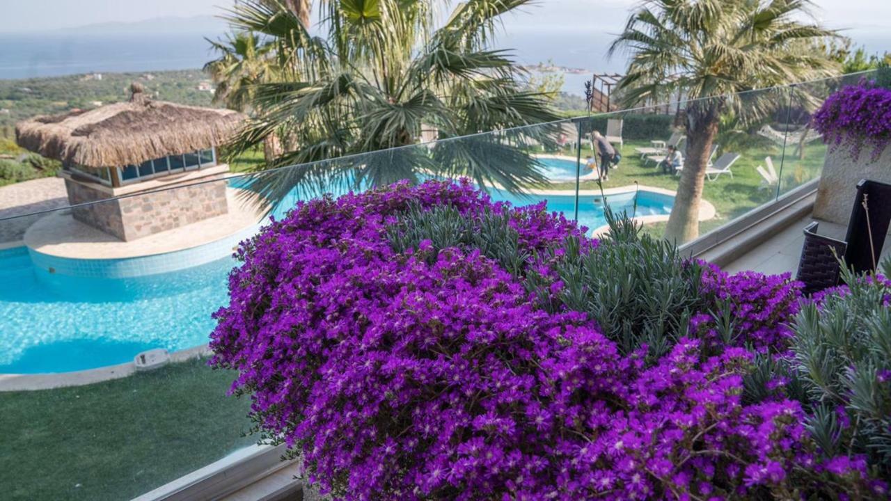 Assos Alis Farm Boutique Hotel & Spa Екстер'єр фото
