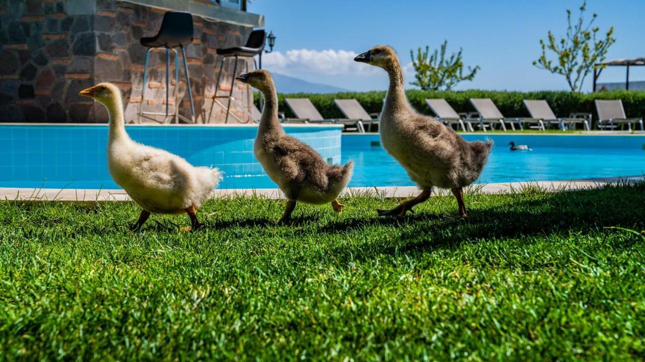 Assos Alis Farm Boutique Hotel & Spa Екстер'єр фото