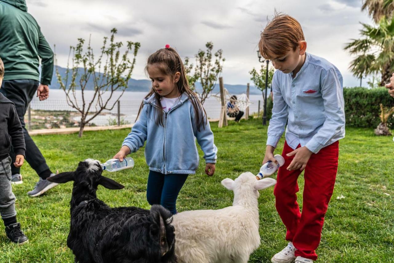 Assos Alis Farm Boutique Hotel & Spa Екстер'єр фото